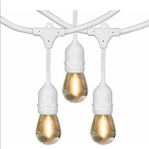 Feit Electric 48 FT LED Outdoor String Lights patio lights (24 Bulbs)